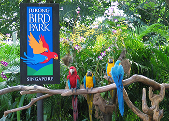Jurong Bird Park Living Classroom